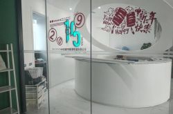 [1分钟科普]南京的咨询公司_哔哩哔哩-3